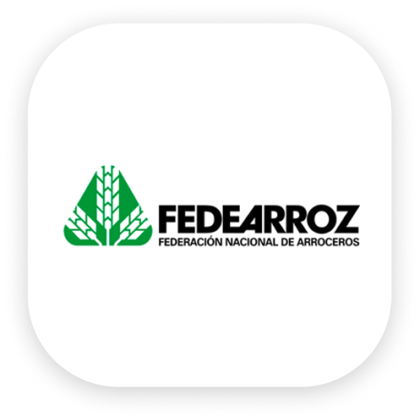 Fedearroz